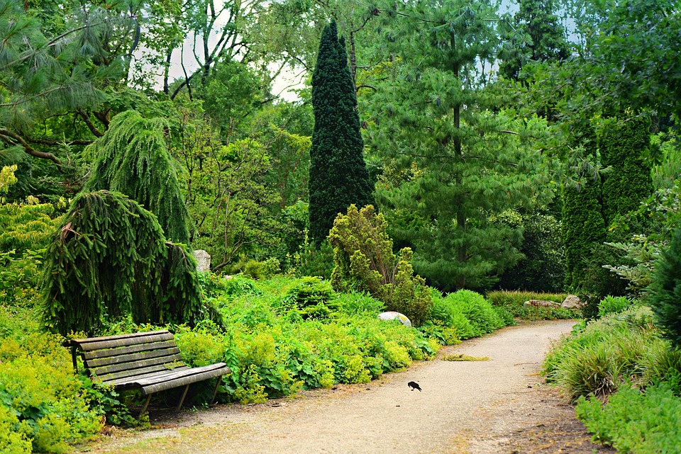 Understanding Mental Health: Strategies for Wellbeing and Resilience in Everyday Life