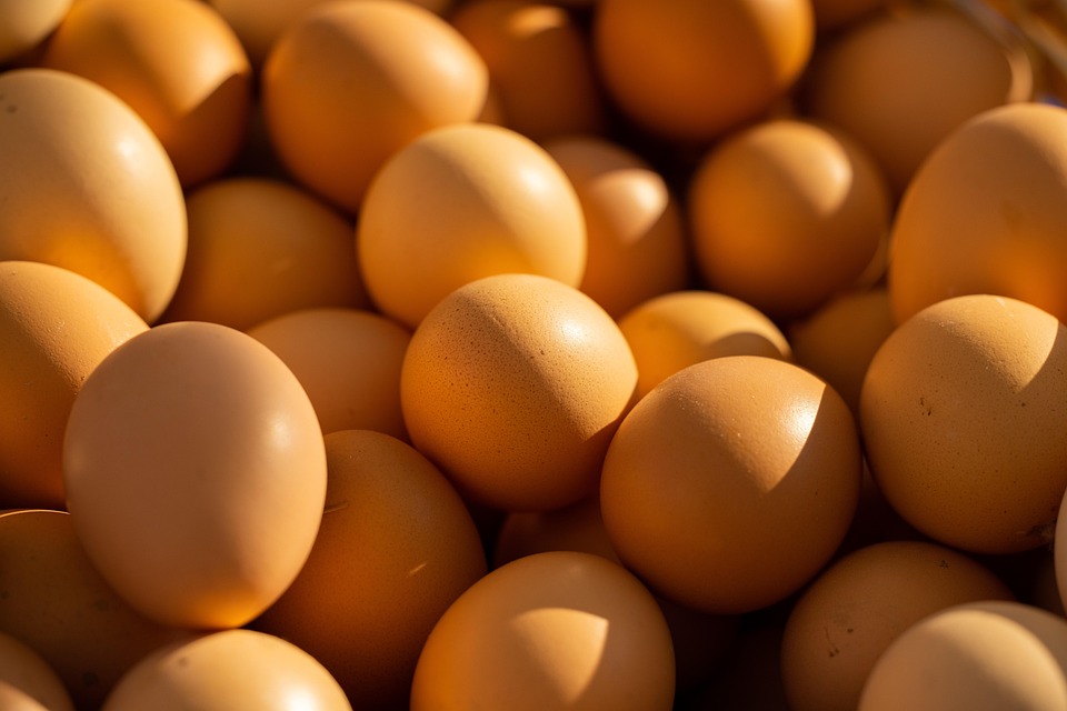 The Ultimate Guide to High-Protein Diets: Benefits, Recipes, and Tips for Success